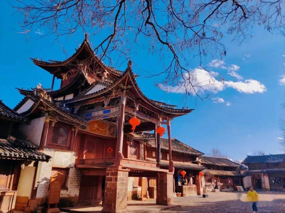 美妙森林找不同